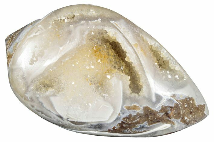 Chalcedony Replaced Gastropod With Sparkly Quartz - India #320808